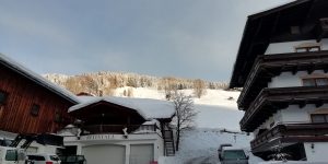 Blick vom Altachhof Richtung Hausabfahrt.